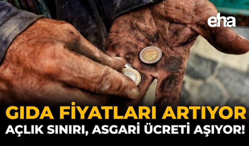 Gıda Fiyatları Artıyor: Açlık Sınırı, Asgari Ücreti Aşıyor!