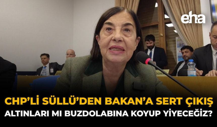 CHP’li Süllü’den Bakan’a Sert Çıkış: “Altınları Mı Buzdolabına Koyup Yiyeceğiz?”