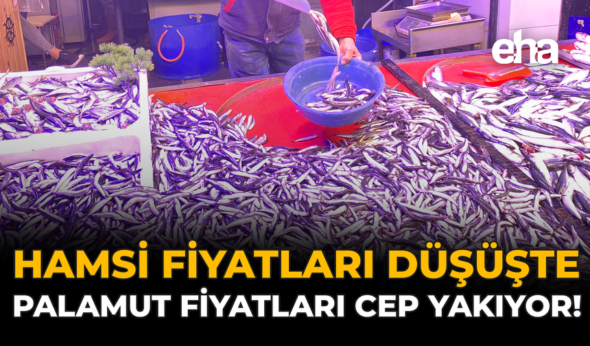 Hamsi Fiyatları Düşüşte, Palamut Fiyatları Cep Yakıyor!