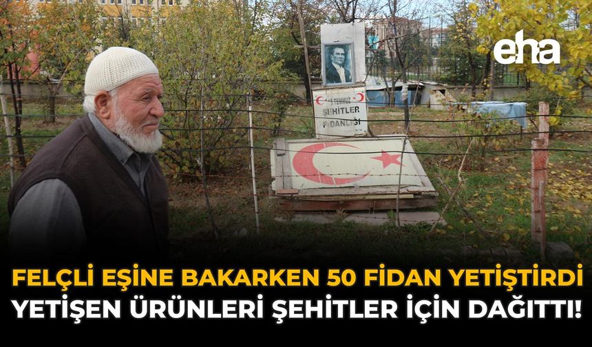 Felçli Eşine Bakarken 50 Fidan Yetiştirdi: Yetişen Ürünleri Şehitler İçin Dağıttı!