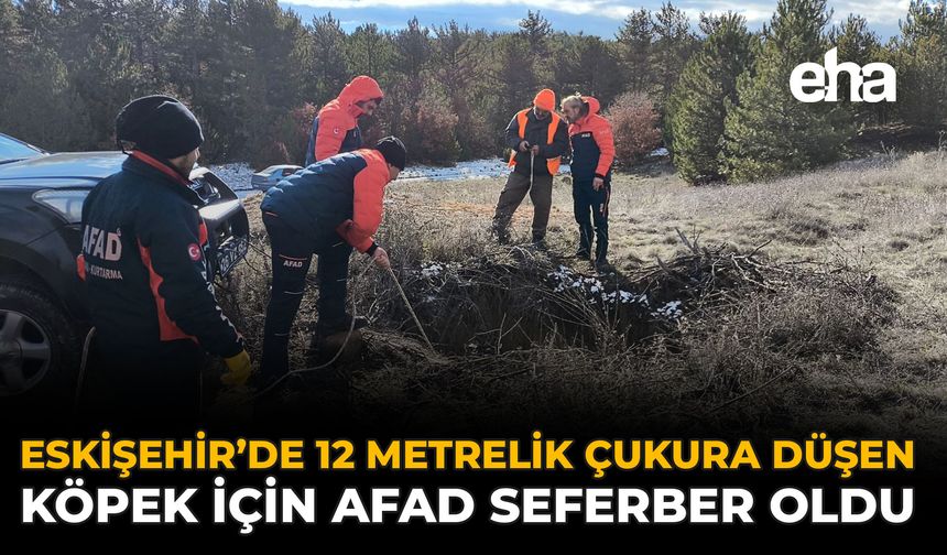 Eskişehir’de 12 Metrelik Çukura Düşen Köpek İçin AFAD Seferber Oldu