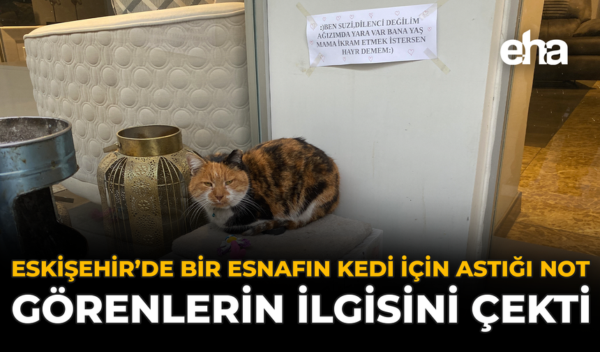 Eskişehir’de Bir Esnafın Kedi İçin Astığı Not Görenlerin İlgisini Çekti