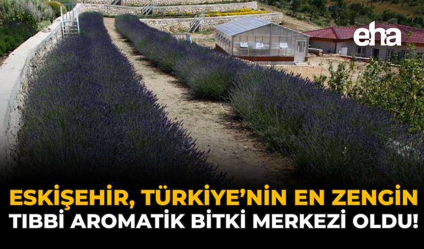 Eskişehir, Türkiye’nin En Zengin Tıbbi Aromatik Bitki Merkezi Oldu!