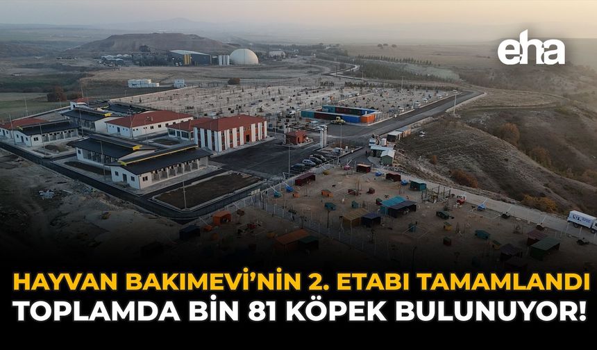 Hayvan Bakımevi'nin 2. Etabı Tamamlandı: Toplamda Bin 81 Köpek Bulunuyor!