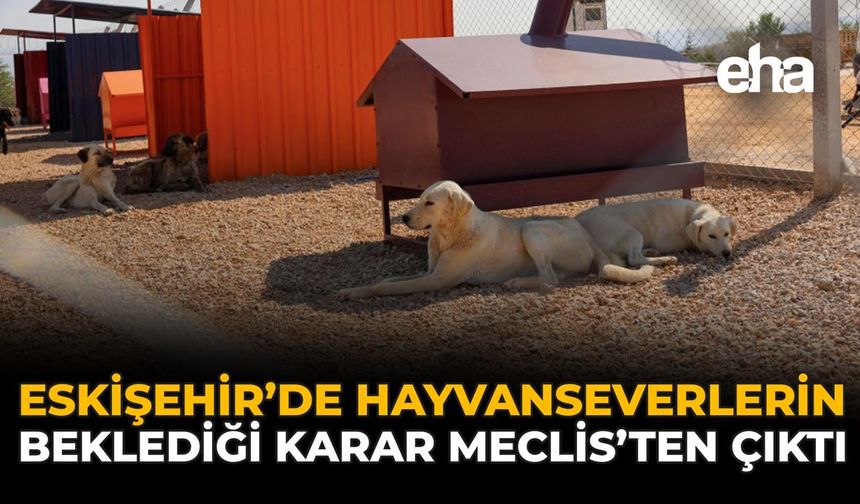 Eskişehir’de Hayvanseverlerin Beklediği Karar Meclis’ten Çıktı