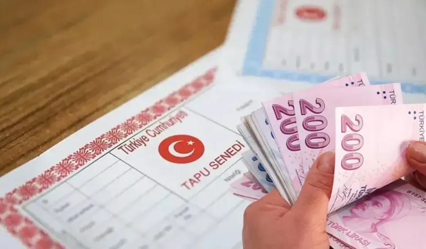 Tapu Alamayan Hak Sahiplerine Farklı Arsa Önerisi: Yüzde 20 Sınırı Konuldu