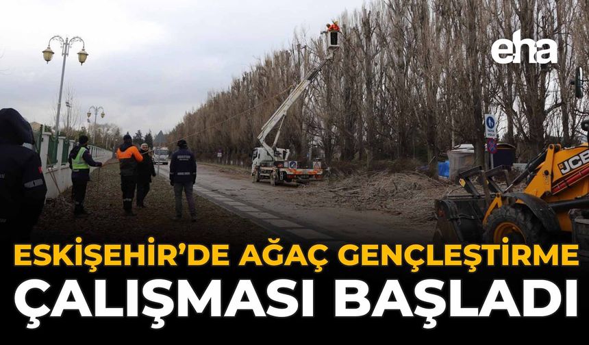 Eskişehir'de Ağaç Gençleştirme Çalışması Başladı