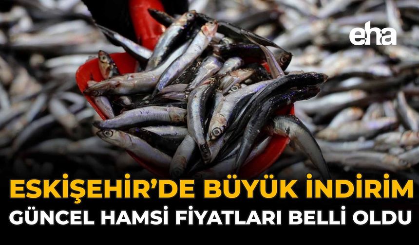 Eskişehir'de Büyük İndirim: Güncel Hamsi Fiyatları Belli Oldu!