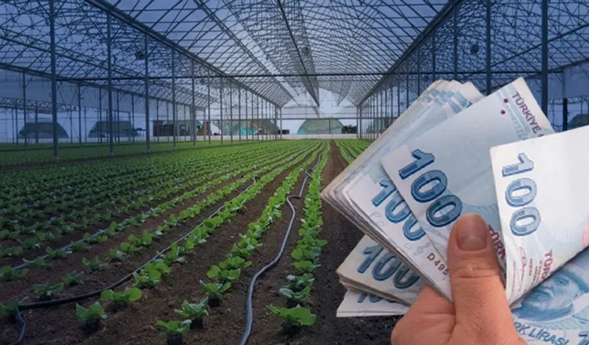 Devlet Köye Yerleşene Para Ödeyecek! İşte Yeni Destek Planı