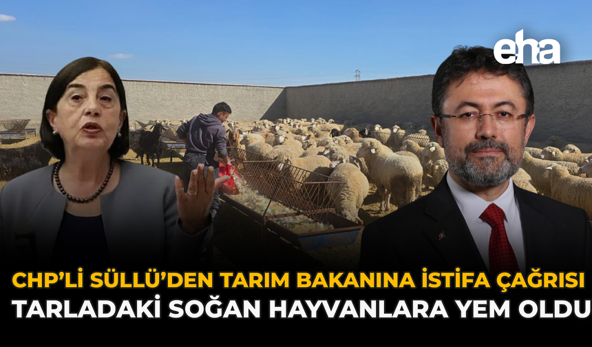 CHP’li Süllü’den Tarım Bakanına İstifa Çağrısı: Tarladaki Soğan Hayvanlara Yem Oldu