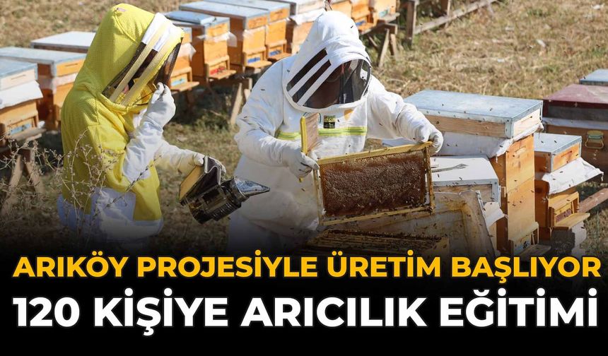 Arıköy Projesiyle Üretim Başlıyor: 120 Kişiye Arıcılık Eğitimi