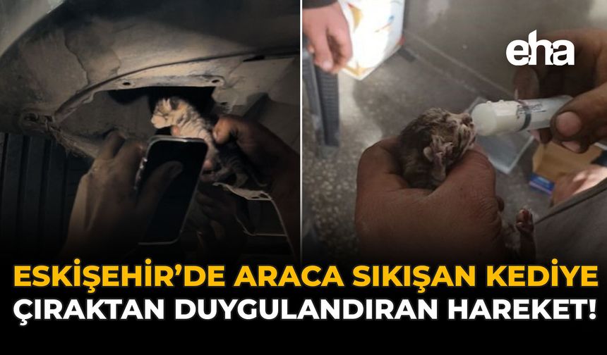 Eskişehir’de Araca Sıkışan Kediye Çıraktan Duygulandıran Hareket!