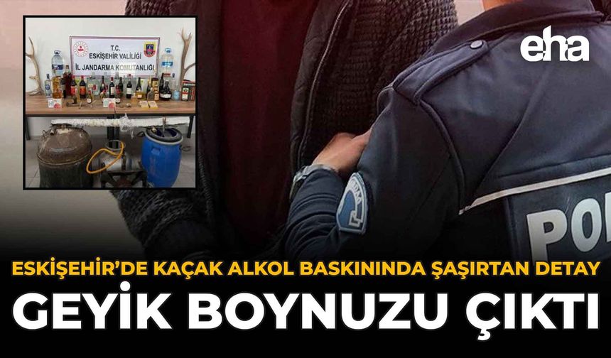 Eskişehir’de Kaçak Alkol Baskınında Şaşırtan Detay: Geyik Boynuzu Çıktı