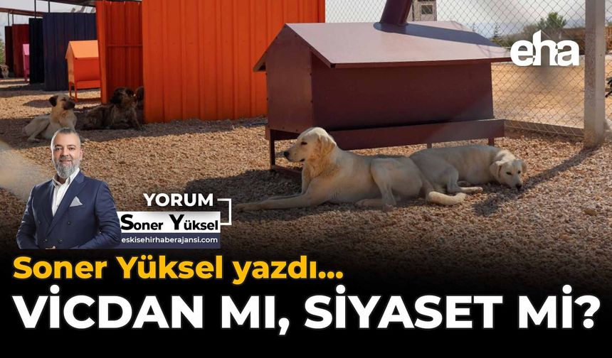 Vicdan mı, Siyaset mi?