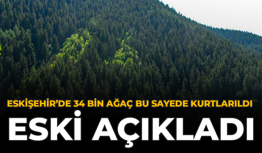 Eskisehir’de 34 Bin Ağaç Bu Sayede Kurtarıldı: ESKİ Açıkladı