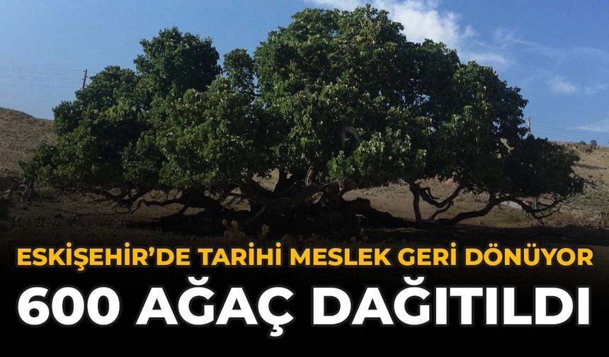 Eskişehir’de Tarihi Meslek Geri Dönüyor: 600 Ağaç Dağıtıldı