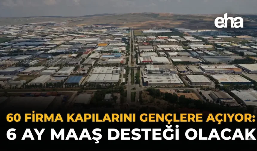 60 Firma Kapılarını Gençlere Açıyor: 6 Ay Maaş Desteği Olacak