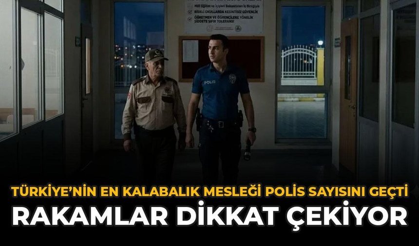 Türkiye'nin En Kalabalık Mesleği Polis Sayısını Geçti: Rakamlar Dikkat Çekiyor