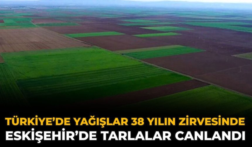 Türkiye’de Yağışlar 38 Yılın Zirvesinde: Eskişehir’de Tarlalar Canlandı