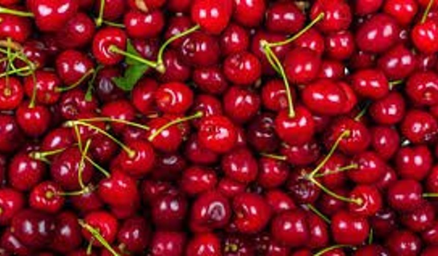 Sezonun İlk Kirazı Rekor Fiyatla Geldi: Kilogramı 6 Bin TL