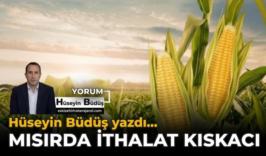 Mısırda İthalat Kıskacı