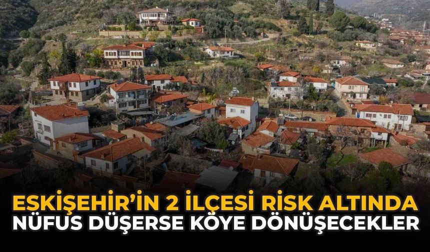 Eskişehir'in 2 İlçesi Risk Altında: Nüfus Düşerse Köye Dönüşecekler
