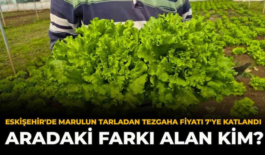Eskişehir'de Marulun Tarladan Tezgaha Fiyatı 7'ye Katlandı: Aradaki Farkı Alan Kim?
