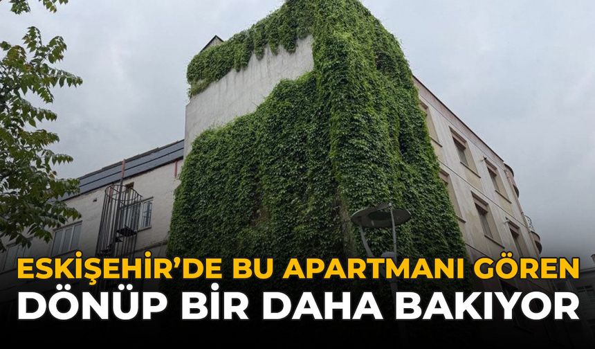 Eskişehir'de Bu Apartmanı Gören Dönüp Bir Daha Bakıyor