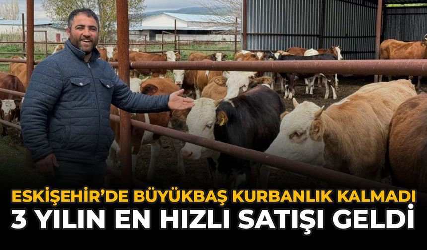 Eskişehir'de Büyükbaş Kurbanlık Kalmadı: 3 Yılın En Hızlı Satışı Geldi