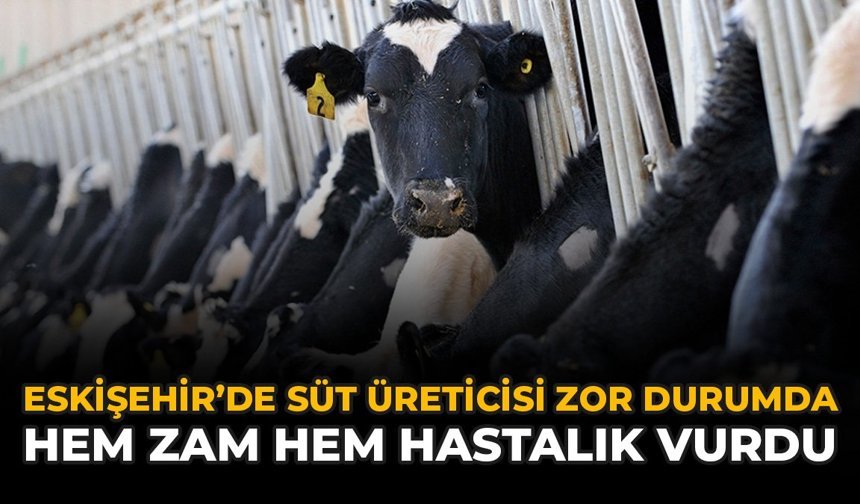 Eskişehir’de Süt Üreticisi Zor Durumda: Hem Zam Hem Hastalık Vurdu