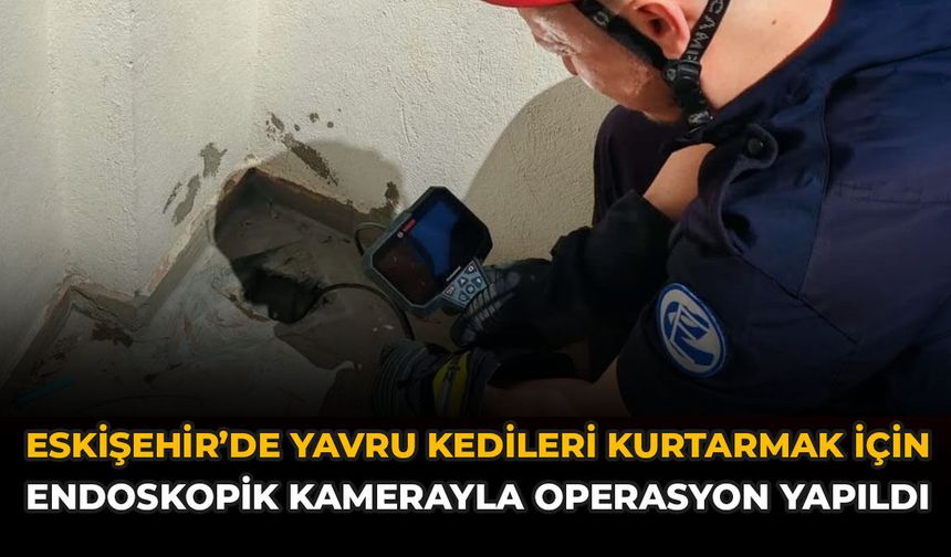 Eskişehir'de Yavru Kedileri Kurtarmak İçin Endoskopik Kamerayla Operasyon Yapıldı