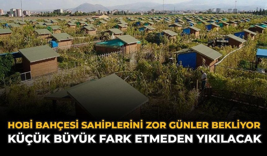 Hobi Bahçesi Sahiplerini Zor Günler Bekliyor: Küçük Büyük Fark Etmeden Yıkılacak