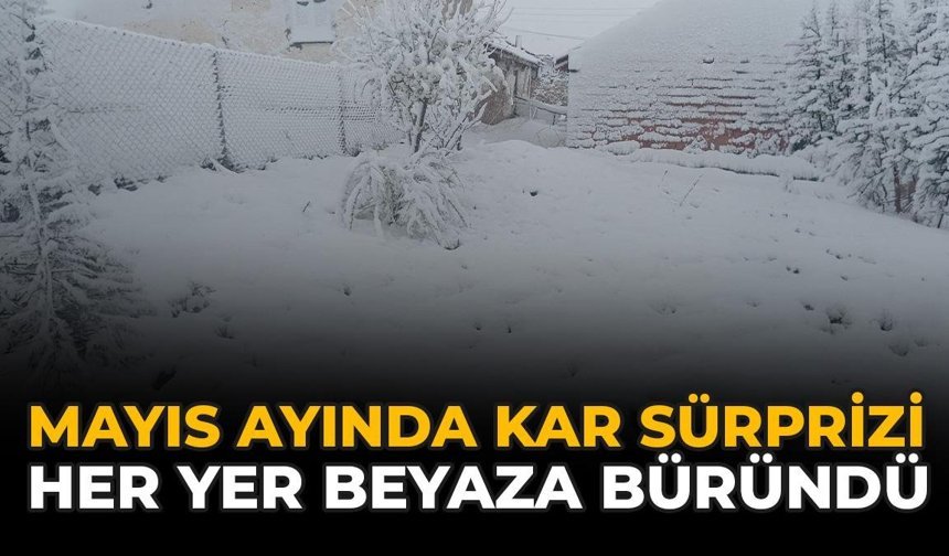 Mayıs Ayında Kar Sürprizi: Her Yer Beyaza Büründü