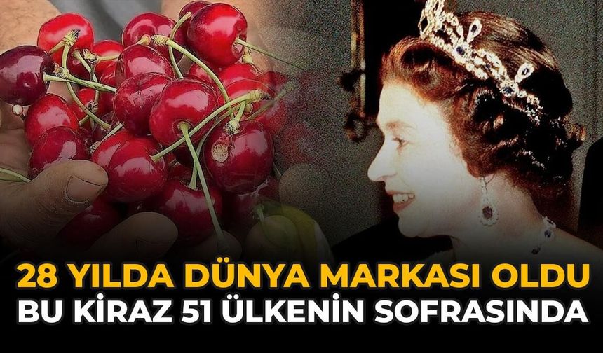 28 Yılda Dünya Markası Oldu: Bu Kiraz 51 Ülkenin Sofrasında