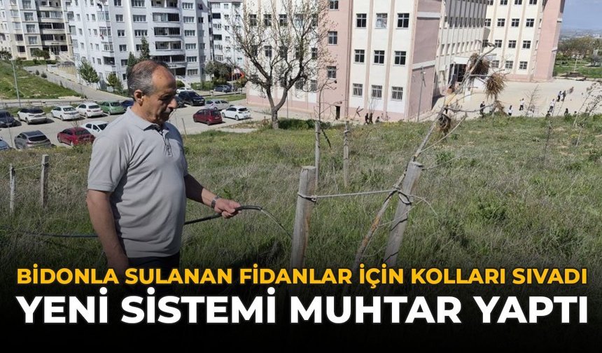 Bidonla Sulanan Fidanlar İçin Kolları Sıvadı: Yeni Sistemi Muhtar Yaptı