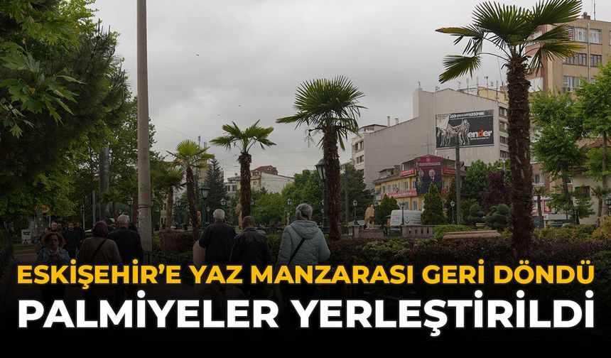 Eskişehir'e Yaz Manzarası Geri Döndü: Palmiyeler Yerleştirildi