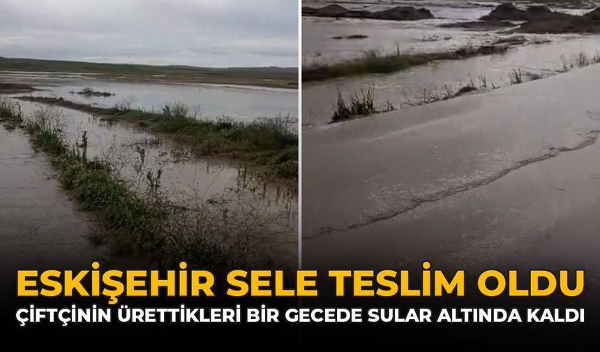 Eskişehir Sele Teslim Oldu: Çiftçinin Ürettikleri Bir Gecede Sular Altında Kaldı