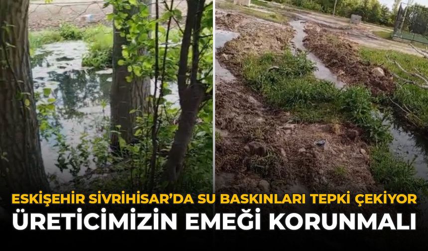 Eskişehir Sivrihisar’da Su Baskınları Tepki Çekiyor: “Üreticimizin Emeği Korunmalı”
