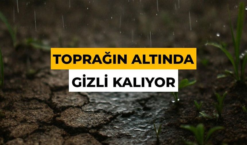 İnsan Burnu Bu Kokuyu Trilyonda 5 Parçayla Bile Algılıyor