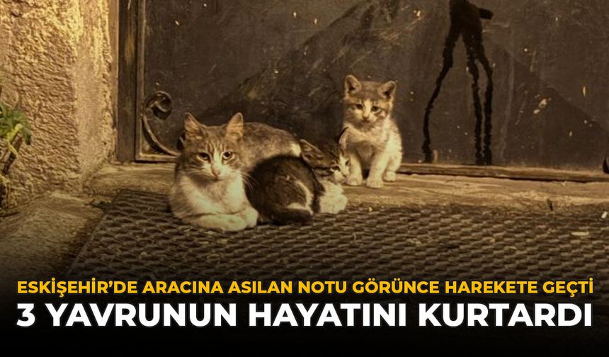 Eskişehir'de Aracına Asılan Notu Görünce Harekete Geçti: 3 Yavrunun Hayatını Kurtardı