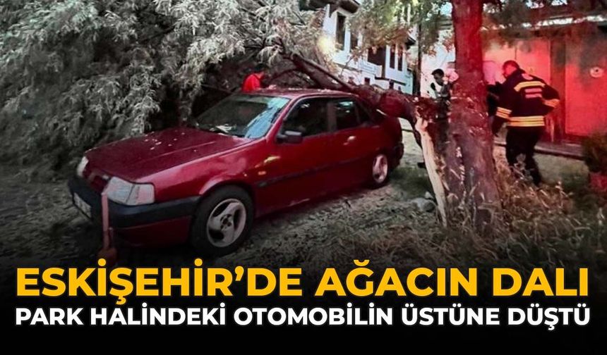 Eskişehir’de Ağacın Dalı Park Halindeki Otomobilin Üzerine Düştü