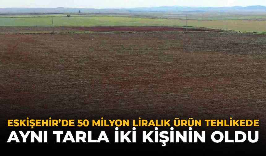 Eskişehir'de 50 Milyon Liralık Ürün Tehlikede: Aynı Tarla İki Kişinin Oldu