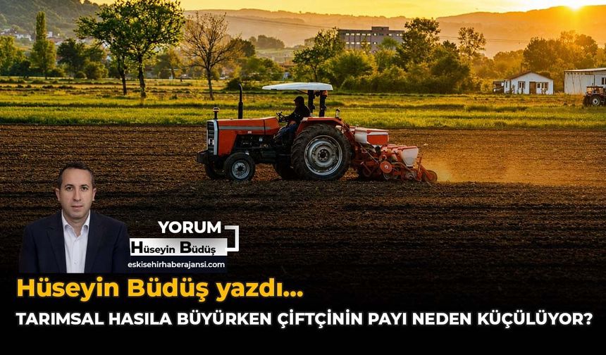 Tarımsal Hasıla Büyürken Çiftçinin Payı Neden Küçülüyor?
