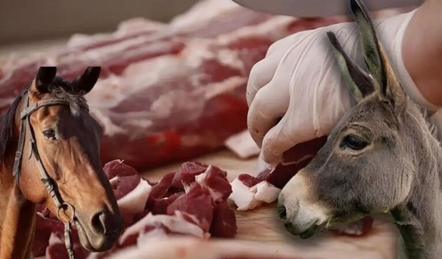 İçli Köfte ve Kavurmada Eşek Eti Çıktı: Bakanlık Bu Markalara Suç Duyursunda Bulundu