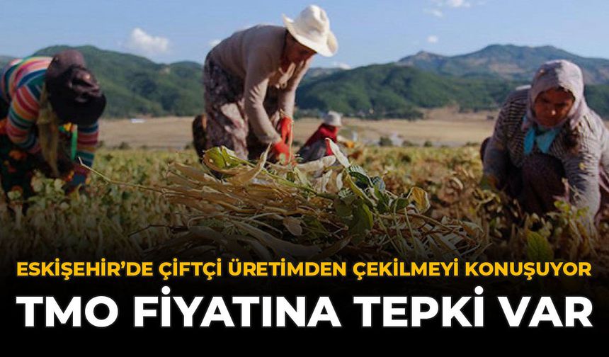 Eskişehir'de Çiftçi Üretimden Çekilmeyi Konuşuyor: TMO Fiyatına Tepki Var