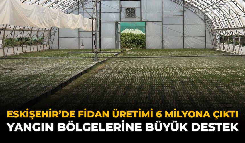 Eskişehir'de Fidan Üretimi 6 Milyona Çıktı: Yangın Bölgelerine Büyük Destek