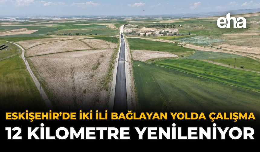 Eskişehir'de İki İli Bağlayan Yolda Çalışma: 12 Kilometre Yenileniyor