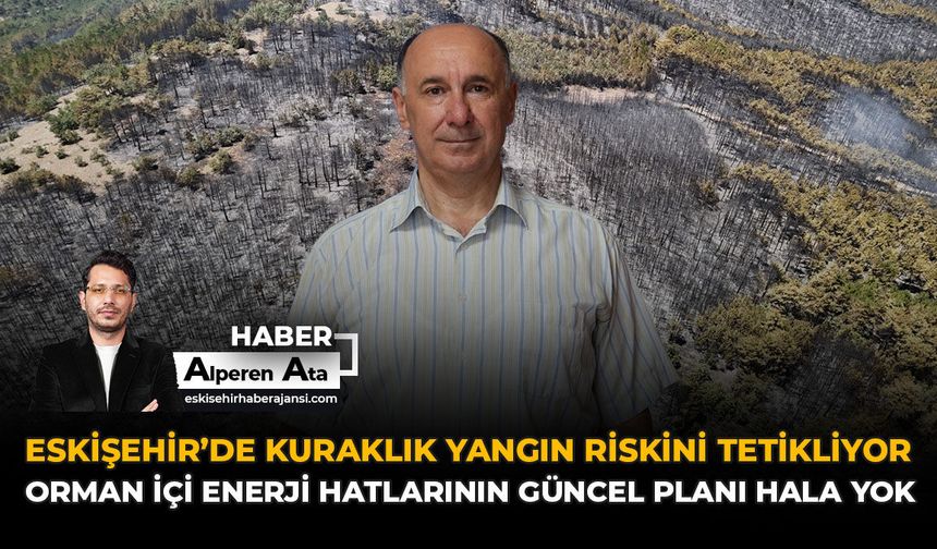 Eskişehir’de Kuraklık Yangın Riskini Tetikliyor: Orman İçi Enerji Hatlarının Güncel Planı Hala Yok!