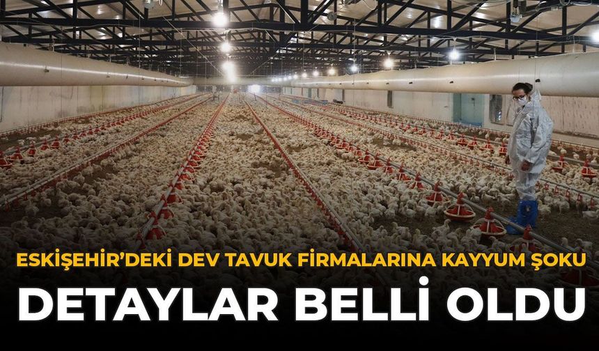 Eskişehir'deki Dev Tavuk Firmalarına Kayyum Şoku: Detaylar Belli Oldu