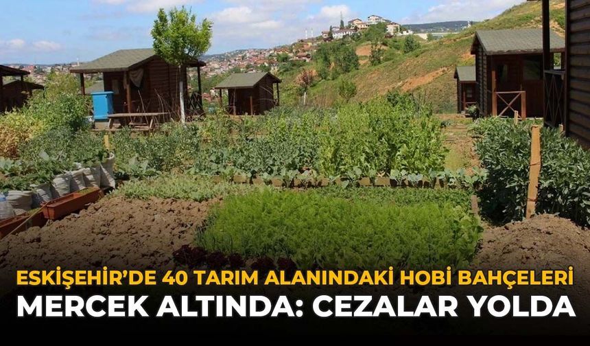 Eskişehir'de 40 Tarım Alanındaki Hobi Bahçeleri Mercek Altında: İşte Cezalar